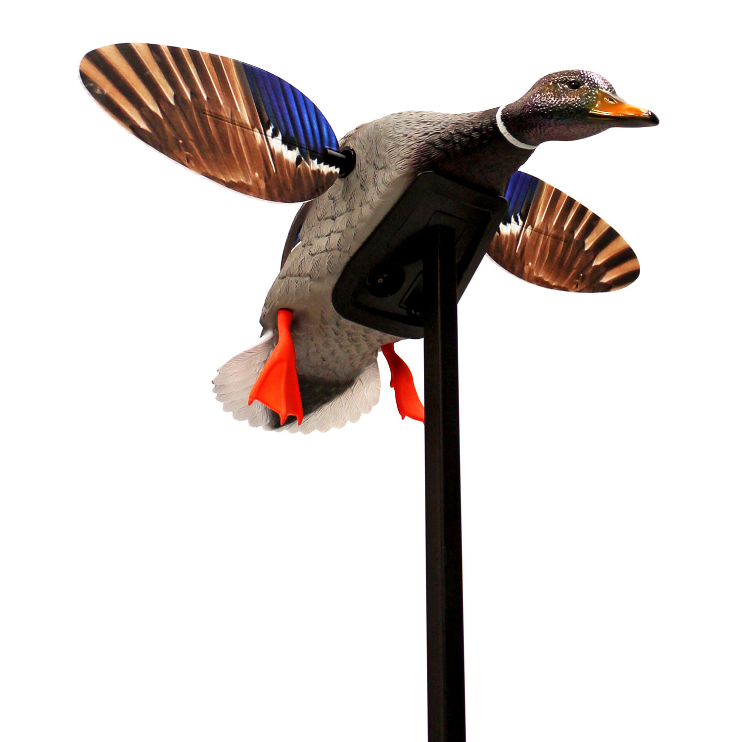 Mojo Elite Series Mini Mallard Drake Decoy