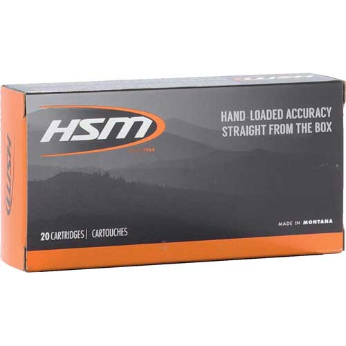 Hsm 300 Aac 180GR Bthp 20RD 25BX/CS