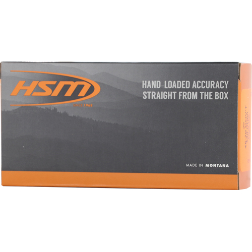 Hsm Subsonic 45-70 Gov 550GR 20RD Ammo