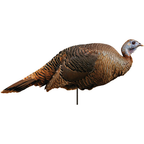 Montana Decoy Spring Fling Hen Turkey Decoy
